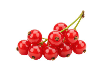 Isolated red currants, a small fruit with a slightly tart taste in cluster with stem still on
