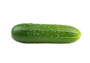 Isolated fresh organic cucumber, healthy food ingredient for cooking, vegan diet nutrition