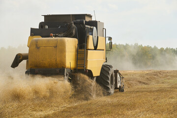 Yellow combine harvester moving through wheat field during harvest season, rear view showing dust and straw flying as machine processes crops in rural agricultural landscape