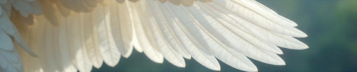 Ethereal White Wing Floating Feather Close-Up, Soft Blurred Background, Graceful and Spiritual Imagery Perfect for Fantasy, Religious, or Spiritual Designs.