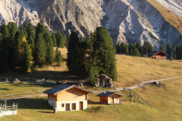Cozy wooden chalets surrounded by pine trees at sunrise in the Alpe di Funes valley, with majestic Dolomite peaks rising in the background. Peaceful mountain landscape in autumn.