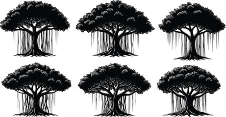 Black silhouette banyan tree collection, hanging root tree vector set, tropical forest illustration, sacred fig botanical design