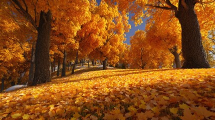 A symphony of fall colors in nature's grand display. Modern design. Subtle shades of fall: a sea of gold and gentle hues. Visual identity. Glamour photo.