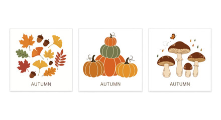 Autumnal set of vector illustrations with leaves, pumpkins, and mushrooms