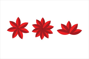 Obraz premium Red color flower stylist set 