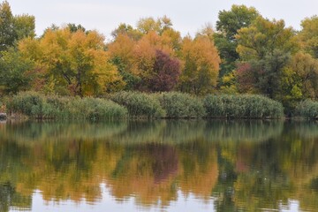 Autumn landscape with lake, trees and colorful leaves in the park in October