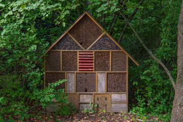 Insect hotel in the forest or park, natural wooden structure for solitary