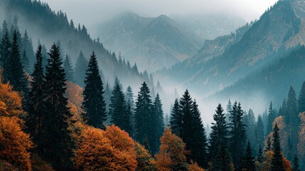 Obraz premium Misty mountain magic: embrace the fall vibrance. Empty space. Misty autumn forest with coniferous trees and foggy mountain backdrop. Visual balance. Clear focus.