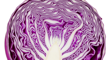 Cross-Section of Fresh Red Cabbage, Isolated on White Background