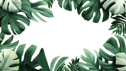 A lush arrangement of diverse, green tropical leaves framing a central black space