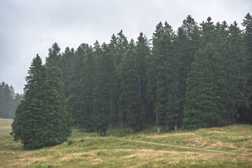 Fototapeta premium Paysage de la Givrine dans le Jura sous la pluie