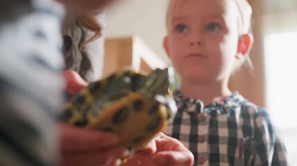 Close up of tortoise being gently held by adult hand while child observes with curiosity, creating learning moment about animal life, nature awareness, and education in classroom environment