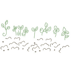 Hand drawn microgreens sprouts doodle growth and organic plant illustration
