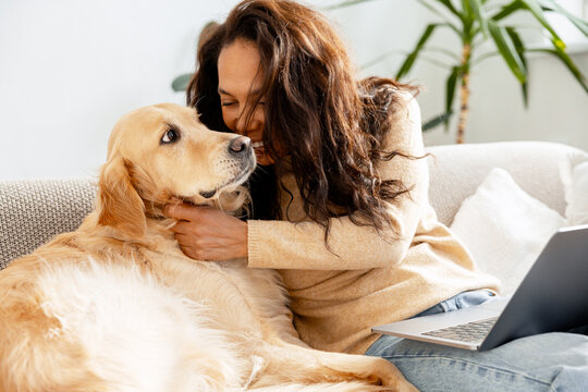 African American woman using working on laptop petting golden retriever sitting on comfortable sofa