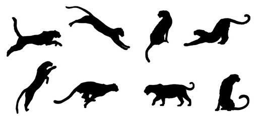 tiger silhouette vector design set