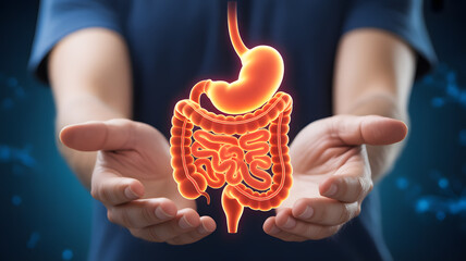 Caring hands cradle glowing human digestive system, a vital organ illustration