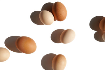 Country Living. Agriculture. Free Range Eggs Still Life on White.