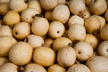 A pile of white pumpkins covering the whole picture