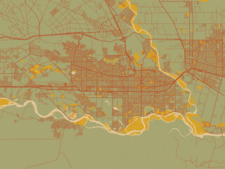 Obraz premium Graphic flat color map of Neuquen, Argentina in earthy sage background with rust roadways and ochre details.