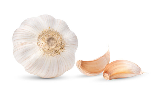 garlic isolated on transparent png ( image from camera )