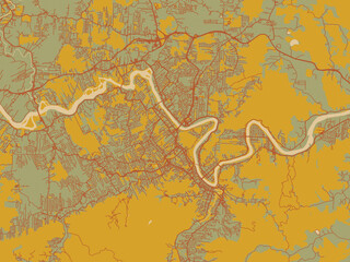 Contemporary flat map of Blumenau, Brazil design with muted sage base, rust-colored roads, and soft ochre highlights.