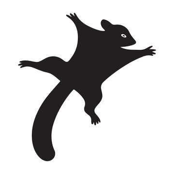 Dynamic sugar glider in mid air flight silhouette vector illustration
