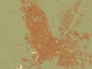 Minimalist flat city map of Chihuahua, Mexico with earthy sage background with rust roadways and ochre details.
