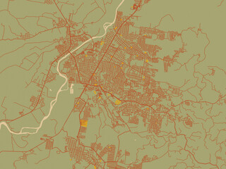 Poster-ready flat map of Poza Rica de Hidalgo, Mexico, olive backdrop with warm rust street network and ochre blocks.