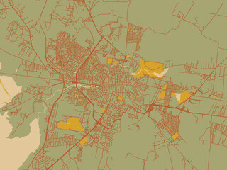 Vector-style flat map of San Miguel de Allende, Mexico with earthy sage background with rust roadways and ochre details.