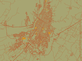 Abstract flat-design map of Tapachula, Mexico, featuring olive backdrop with warm rust street network and ochre blocks.