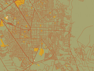 Vector-style flat map of Tehuacan, Mexico with sage/olive tone field with rust networks and ochre shapes, cream water.