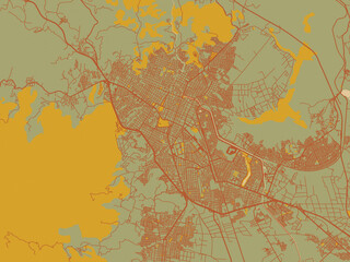 Flat painterly map of Tepic, Mexico in muted sage base, rust-colored roads, and soft ochre highlights.