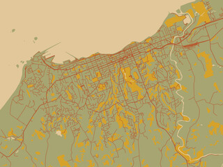 Flat painterly map of New Plymouth, New Zealand in earthy sage background with rust roadways and ochre details.