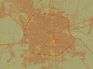 Poster-ready flat map of Cordoba, Argentina, muted sage base, rust-colored roads, and soft ochre highlights.