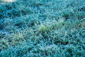 Frost covered grass field glistening in cold morning sunlight creating natural winter texture