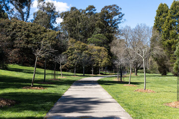 Empty walkway in the park in the morning.