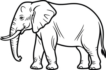 Elephant line art, large wildlife vector, majestic animal illustration, tusked elephant graphic, nature mammal drawing, flat vector illustration