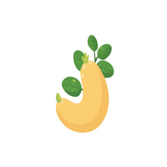 An EPS format illustration, A Simple 2D licorice root illustration isolated on a white background, vector, simple flat 2D icon, minimalist design, vegetables collection