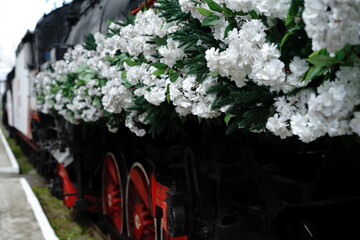 Steam locomotive adorned with white flowers in a historical park during springtime