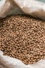 freshly green beans robusta coffee from indonesia