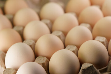 Fresh farm eggs arranged neatly in a cardboard carton ready for sale at a local market or grocery store