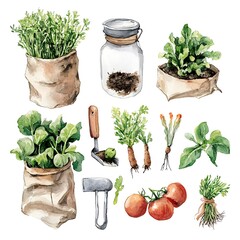 Watercolor organic garden illustration with herbs and vegetables, organic garden watercolor clipart with plants and tools, sustainable organic garden watercolor design