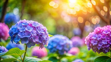 Hydrangea Blossoms, Ueno Park, Tokyo - Tranquil Spring Scene with Bokeh