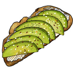 Avocato toast illustration 