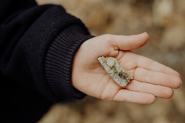 Aareschlucht, Schweiz, Herbst, Schlucht, Alpen, Berner Oberland, Fluss, Wasser