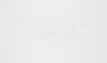 Glowing dust and sparkle PNG overlay for stunning photo effects