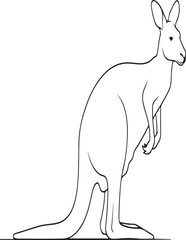 Minimalist line art illustration kangaroo