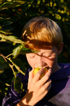 Red-haired boy eating apple outdoors in garden during autumn