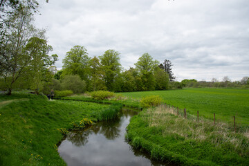 Scottish Countryside view with small stream