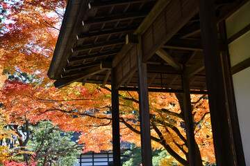 赤く染まる山寺の境内